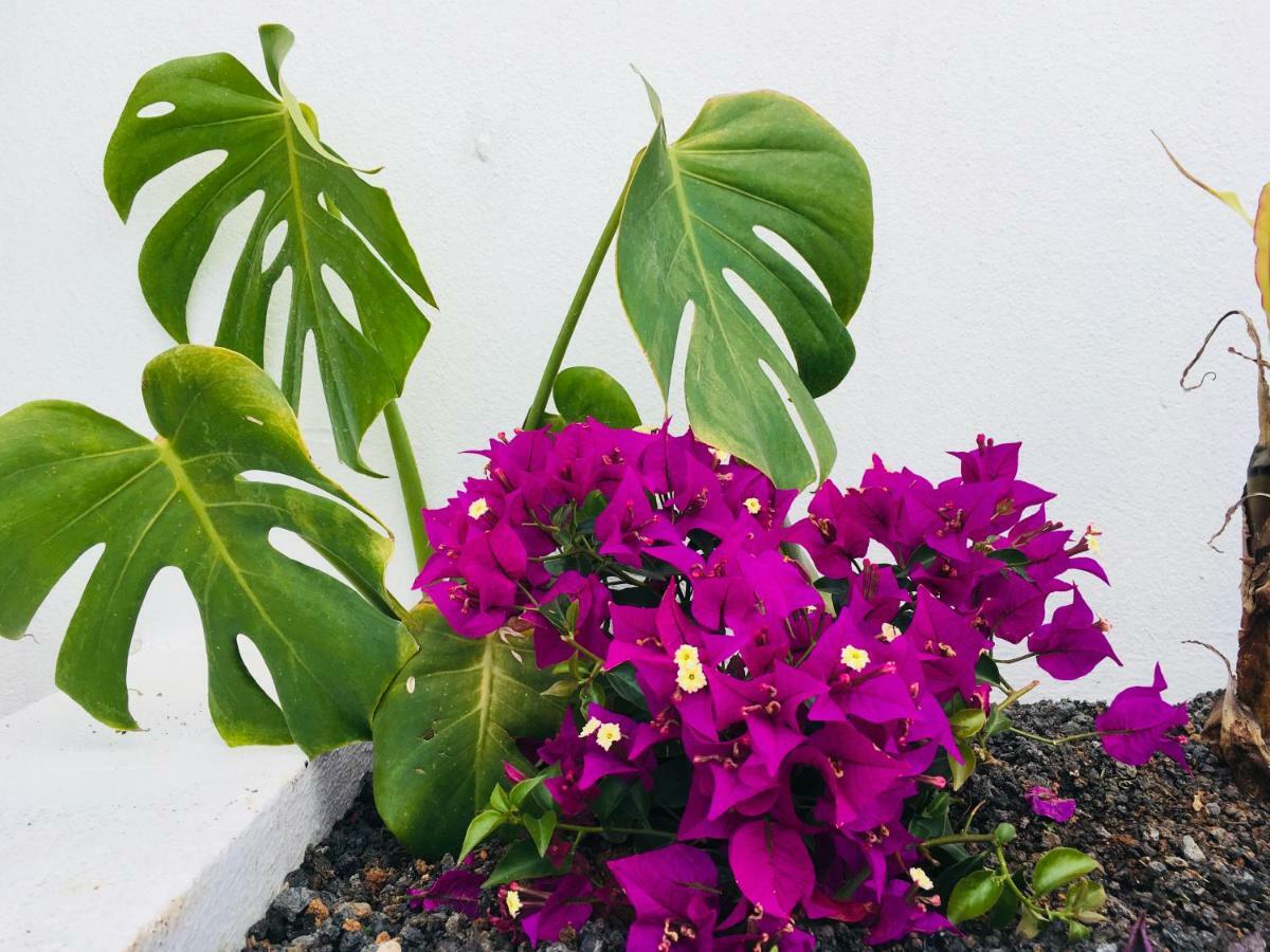 The Little White House, Suite Flower Beach 9 Плая Онда Екстериор снимка